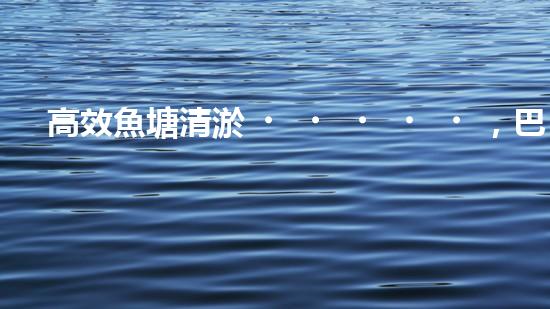 高效魚塘清淤，巴洛仕設(shè)備助力生態(tài)養(yǎng)殖